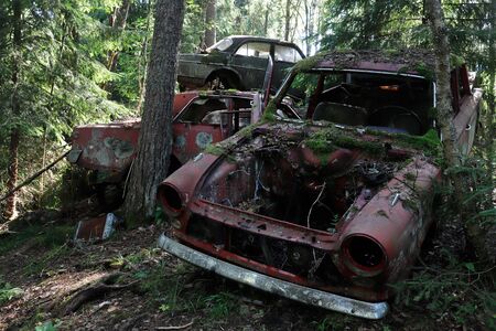 Old and rusty abendoned cars been reclamied by the nature.の写真素材
