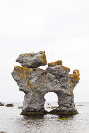 The famous rauk Hunden in a shape of a dog located at the Faro island in the Swedish province of Gotland.の写真素材