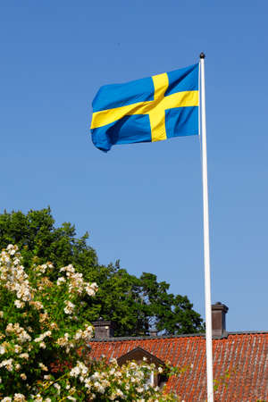 Hoisted Swedish flag during the summer season waving against a clear blue sky.の写真素材