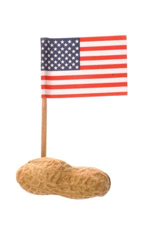 One peanut and ad the flag of USA isolated on white background.の写真素材