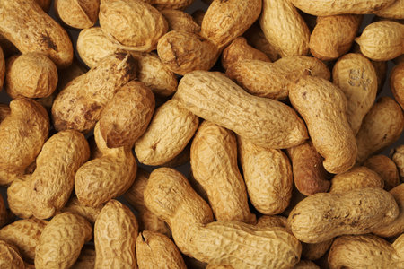 Close-up view of peanuts.の写真素材