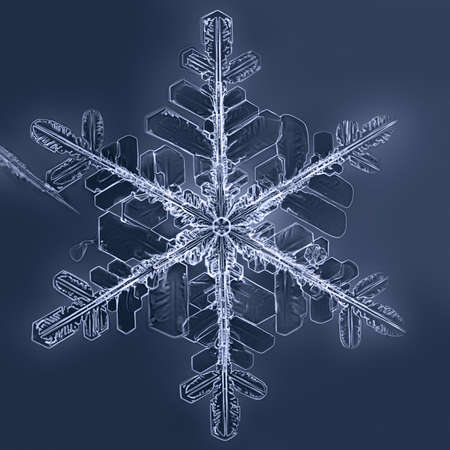 Natural Snowflake, real snowflake crystal at low tempretureの写真素材