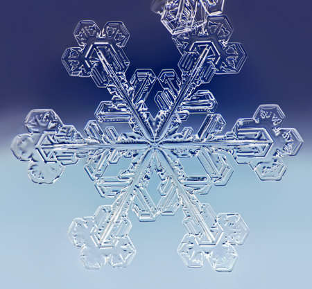 Natural Snowflake, real snowflake crystal at low tempretureの写真素材