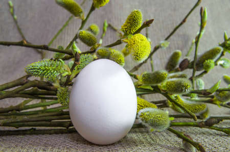 tree, willow, white, easter, nature, celebrations, celebration, abstract, season, backgrounds,...