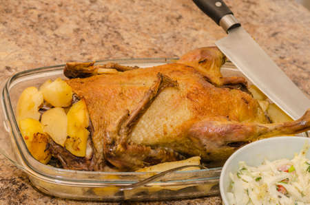 Duck cooked in a home with a crispy brown crust on a feast for gourmetsの写真素材