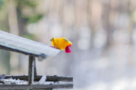bird with red heart in its beak sitting on his house waiting for your soul mate and is ready to give...