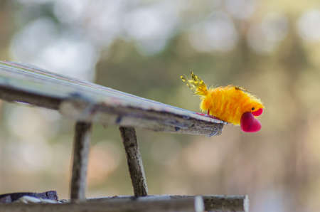 bird with red heart in its beak sitting on his house waiting for your soul mate and is ready to give his belovedの写真素材