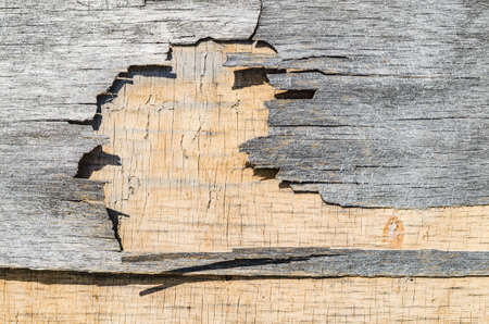 Old wooden surface with a beautiful fiber structure and various patterns of wood surfaceの写真素材