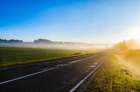 rainbow leavesの写真素材