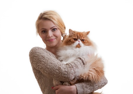 The young nice girl holds a red Persian cat on handsの写真素材
