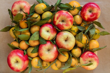 Background from red apples and tangerines on branches with green leavesの写真素材