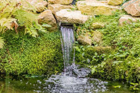 Water coming out between the rocks with moss and lush green vegetation forming a small waterfall that falls on a pond with the sunlight reflecting on the water, sunny day in natureの写真素材