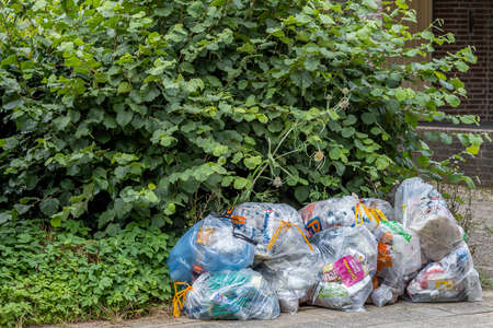 Beek, South Limburg / Netherlands. July 17th. 2020. Plastic garbage bags stacked next to a green foliage plant on the street sidewalk, environmental conservation conceptのeditorial素材