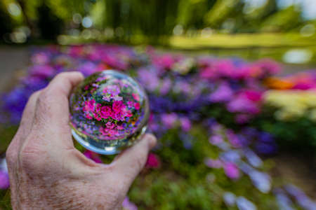 Purple and pink flowers reflected in a glass ball held by a male hand with a green and multicolored blurred background, sunny summer dayの写真素材