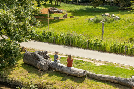 Maastricht, South Limburg / Netherlands. July 22, 2020. City park with two women sitting on a tree trunk talking, keeping social distance in times of coronavirus, sunny summer dayのeditorial素材