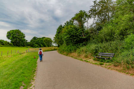 Mature woman walking with her dog on the left side of a country road between farmland, trees, vegetation with green foliage and wooden bench, cloudy day with heavy clouds in South Limburg, Netherlandsの写真素材