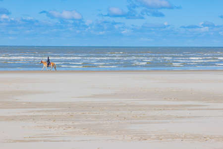 Hargen aan Zee, North Holland, The Netherlands. April 11, 2021. Beach with a rider riding a horse with the sea in the background, sunny spring day with a blue sky and white cloudsのeditorial素材