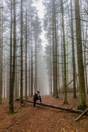 Hiking trail between huge pine trunks in the forest, mature woman with one leg on a fallen tree trunk with a map, black winter clothes, gray shawl and cap, cold misty morning in the Belgian Ardennesの写真素材