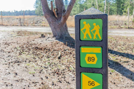 Signpost of different hiking trails in yellow and green, a path in an arid terrain, a trunk and...