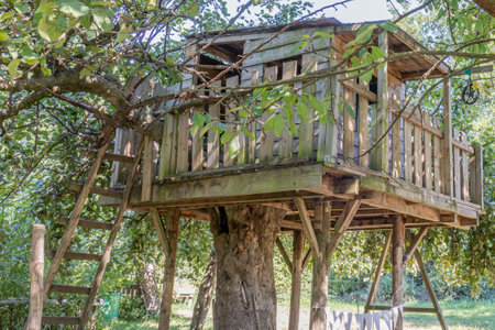 Wooden treehouse built on the trunk of a tree against green foliage in blurred background, ladder to...