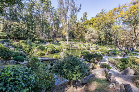 Guadalajara, Jalisco Mexico. January 12, 2023. Japanese garden in Los Colomos public park with people enjoying a sunny day, everyday life landscape, ponds, bridge and green vegetation in backgroundのeditorial素材