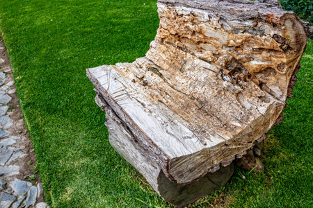 Bench made of a roughly carved tree trunk against green grass in background, placed next to a pedestrian path for tired people to rest or take a break, rough and irregular texture, sunny day in Mexicoの写真素材