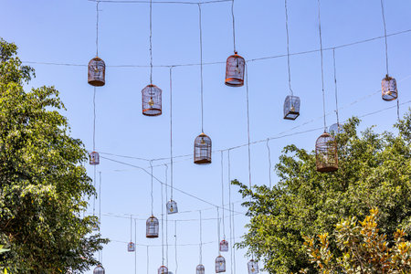 Hanging lamps suspended from wires against clear blue sky among foliage of green leafy trees, made of cages with spotlights, downtown decoration, sunny dayの写真素材