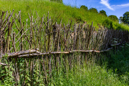 Rustic eco fence in Bemelerberg nature reserve, made of tree branches, plenty of wild green grass on hill in background, sunny spring day in South Limburg, The Netherlandsの写真素材