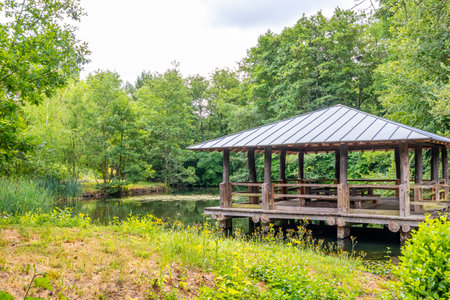 Wooden gazebo on waters of a lake surrounded by abundant wild vegetation, green leafy trees in misty background, perennial aquatic plant on water surface, sunny spring day in Echternach, Luxembourgの写真素材