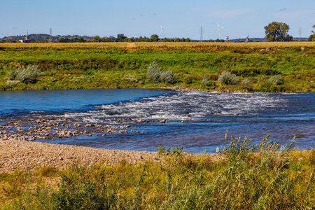 Maas river with water flowing between stones, alluvial terrain, Belgian countryside with trees...