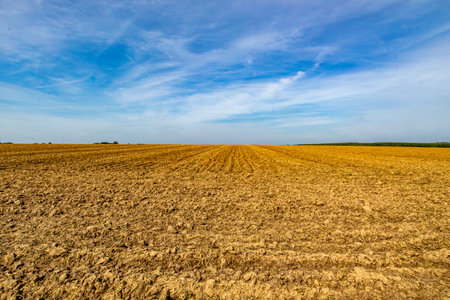 Panoramic view of an agricultural field after harvesting against a hazy blue sky, horizon in...
