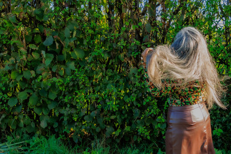 Rear view of elegant senior adult woman tousling her long gray hair, hand touching hair, sunlight illuminating her, brown skirt, green with black blouse, sunny day in the park, bush in the backgroundの写真素材