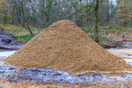 Close-up of mound of earth in work area at construction of a rural road, bare trees in background in...