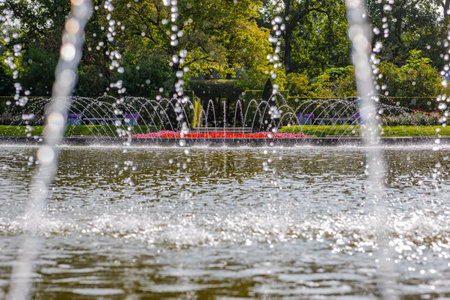 Water jets gushing from fountain and falling into pond, red flowers and green leafy trees in background, sunny spring day in gardens of Arcen Castle, Limburg, Netherlandsの写真素材