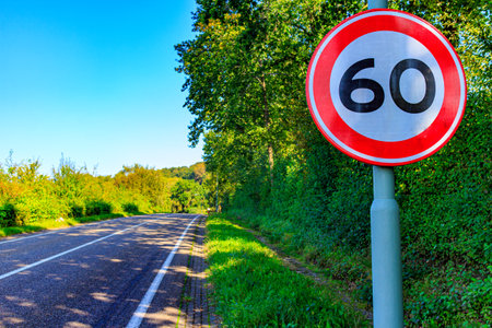 Traffic sign for maximum speed 60 on an empty provincial road, wild vegetation and trees with green...