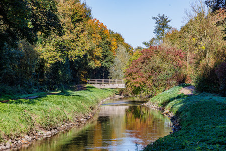 Autumn landscape with river Wurm between wild vegetation and trees with yellowish-green foliage, wooden bridge in background, sunny day in Ubach-Palenberg, Germanyの写真素材