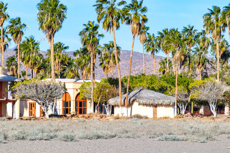 Abandoned beach resort building surrounded by palm trees, dried wild plants on sand, mountain...