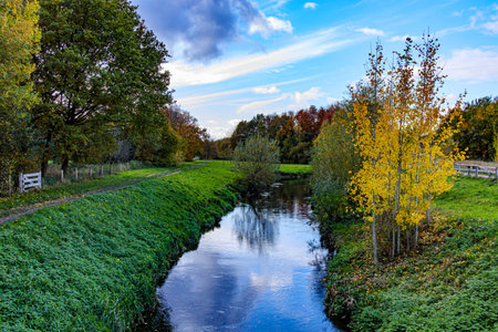 Aerial view of Geleenbeek River through green grass in Absbroekbos conservation area, trees with lush green, yellow and red foliage, Munstergeleen, Limburg, Netherlandsの写真素材