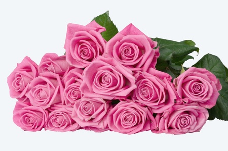 armful of roses on the table  isolated image on white backgroundの写真素材