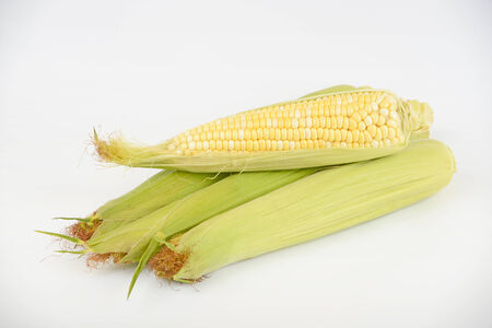 ear of corn. leaves are removed. You can see the grainの写真素材