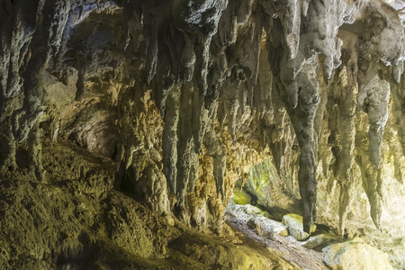 Nature cave in the forestの写真素材