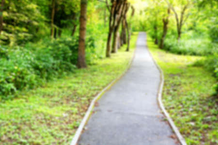 Hiking trail in the forest blurred backgroundの写真素材