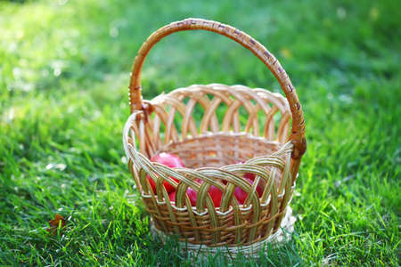 Basket with apples on the grassの写真素材