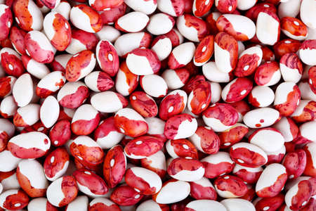Heap of haricot beans closeup