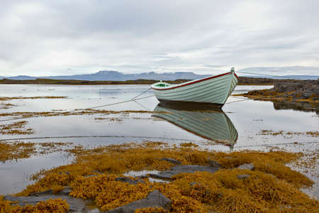 White boat in the sea with reflection in the water on a beach with yellow algae and surrounded by...