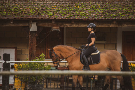 Female rider on horseback in the riding schoolの写真素材