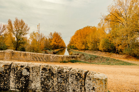 Aerial view of Canal de Castilla in Palencia, Spain, surrounded by autumn trees and fields. A scenic blend of nature and historical Spanish engineering.の写真素材