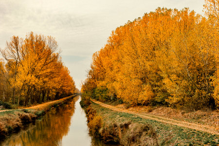 Beautiful autumn landscape with river and yellow trees in sunny day.の写真素材