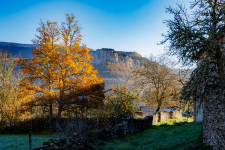 A serene autumn scene featuring golden trees and rocky cliffs under a clear blue sky in northern Spain, evoking tranquility and natural beauty.の写真素材