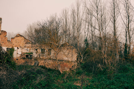 Crumbling stone ruins surrounded by leafless trees and dense vegetation, evoking mystery and history in a secluded rural setting.の写真素材
